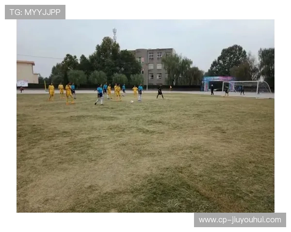 足球比赛边裁工作总结与经验反思报告分析